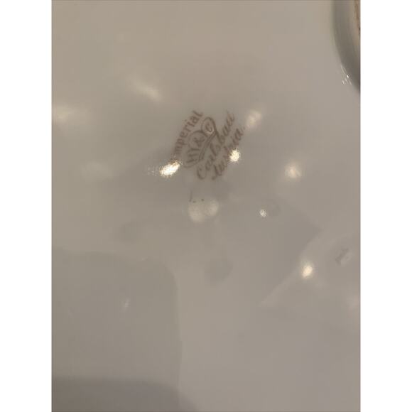 Vintage Imperial H & C Carlsbad Austria Large 19" Platter Pink Floral Green Leav - Picture 10 of 11